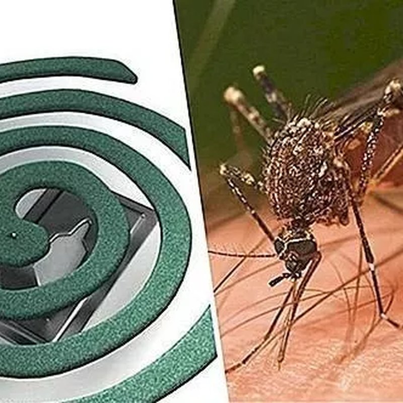 Dimne spirale protiv komaraca – 5 za 700din!
