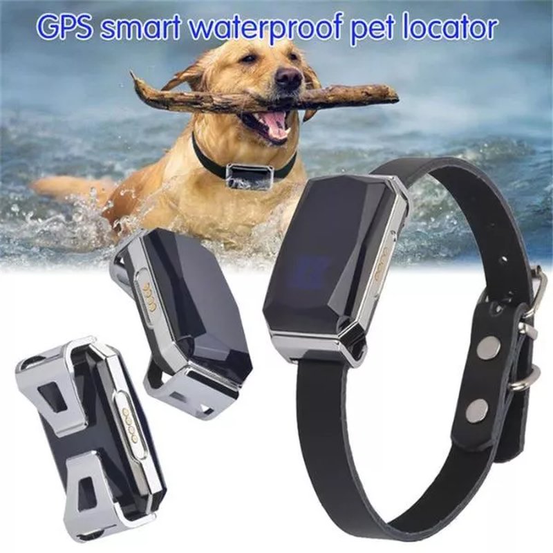GPS za pse – lokator psa tracker ogrlica