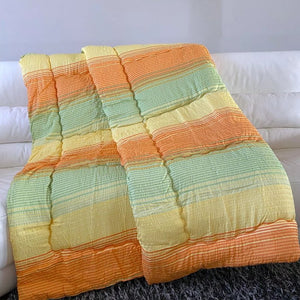 Jorgan mikrofiber francuski ležaj D9