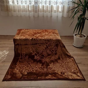 Ambasador ćebe – Singl – Braon