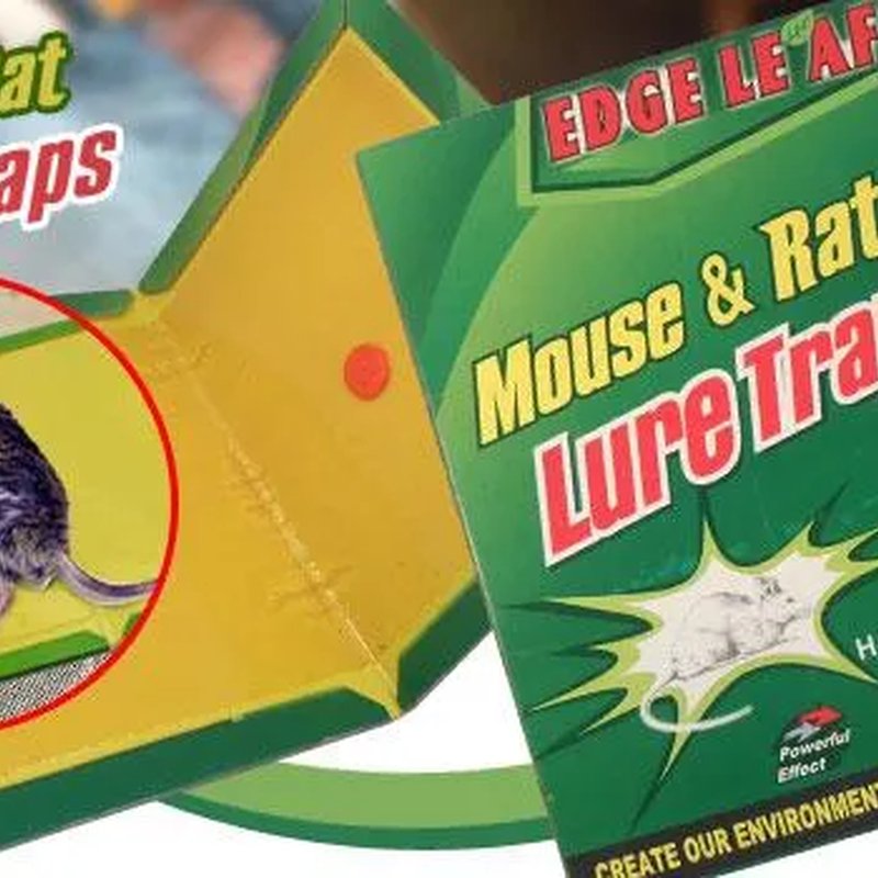 Lepljiva klopka za miševe – 2 za 1079 din!