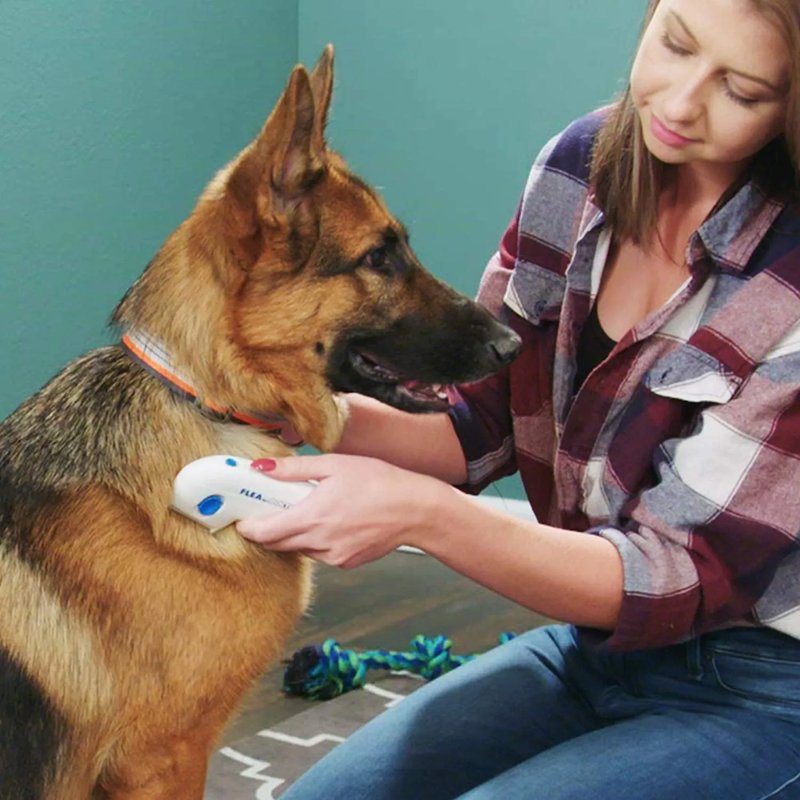 Flea Doctor – Električni češalj protiv buva za ljubimce