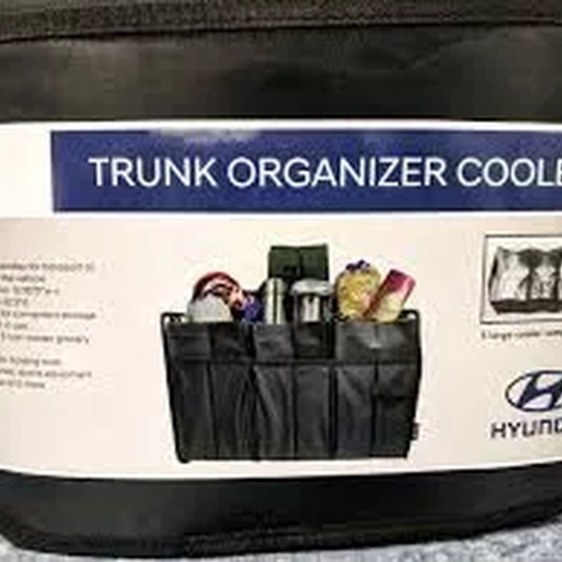 Organizator prtljažnika