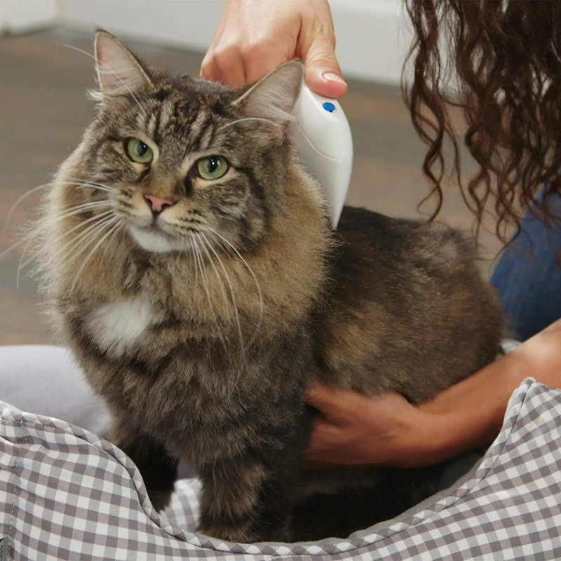 Flea Doctor – Električni češalj protiv buva za ljubimce